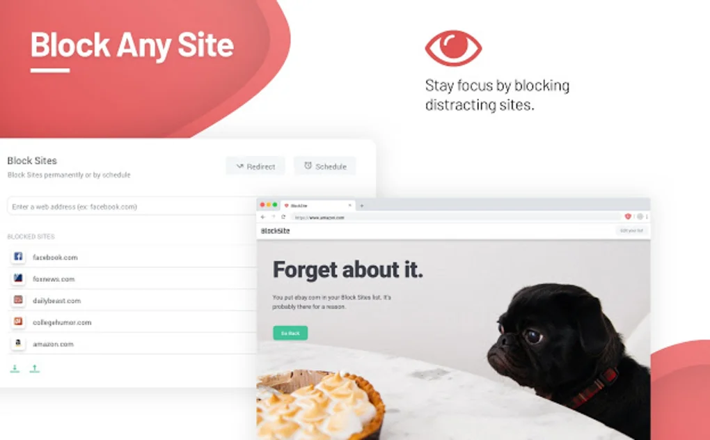 Read more about the article BlockSite