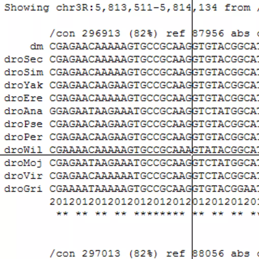 crosshair-screenshot (1)