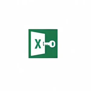 Excel Password