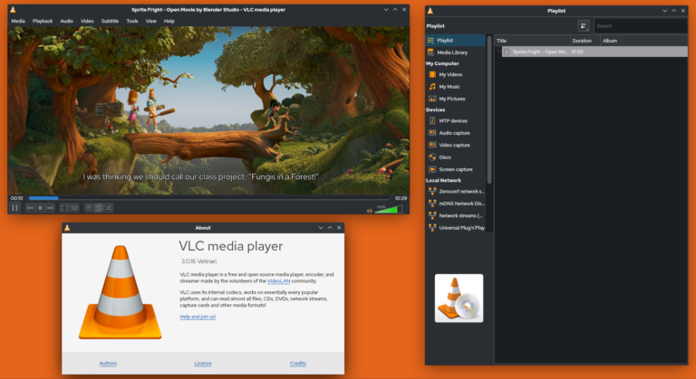 VLC media player 3.0.16 screenshot